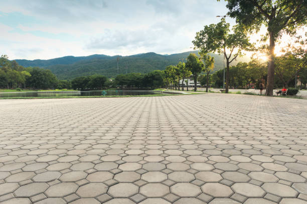 Reliable Mountain Village, CO Driveway Pavers Solutions